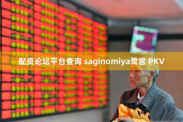 配资论坛平台查询 saginomiya鹭宫 PKV
