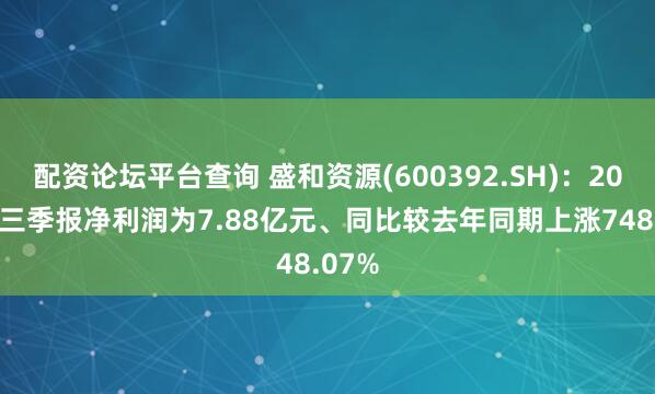 配资论坛平台查询 盛和资源(600392.SH)：2025年三季报净利润为7.88亿元、同比较去年同期上涨748.07%